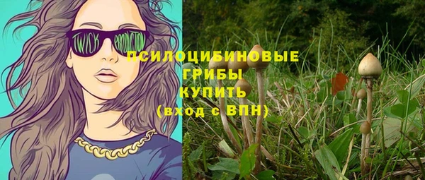 тгк Алексин
