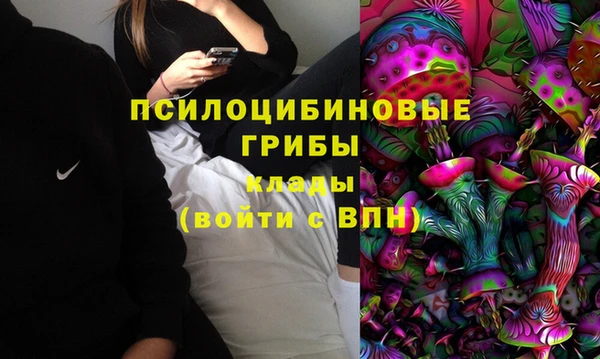 тгк Алексин